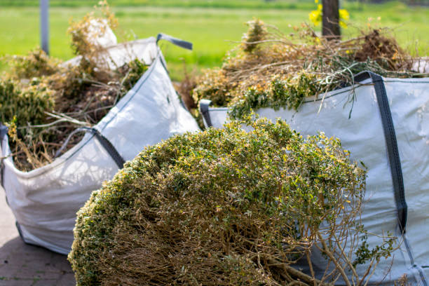 Demolition Debris Removal in Cortland, NY